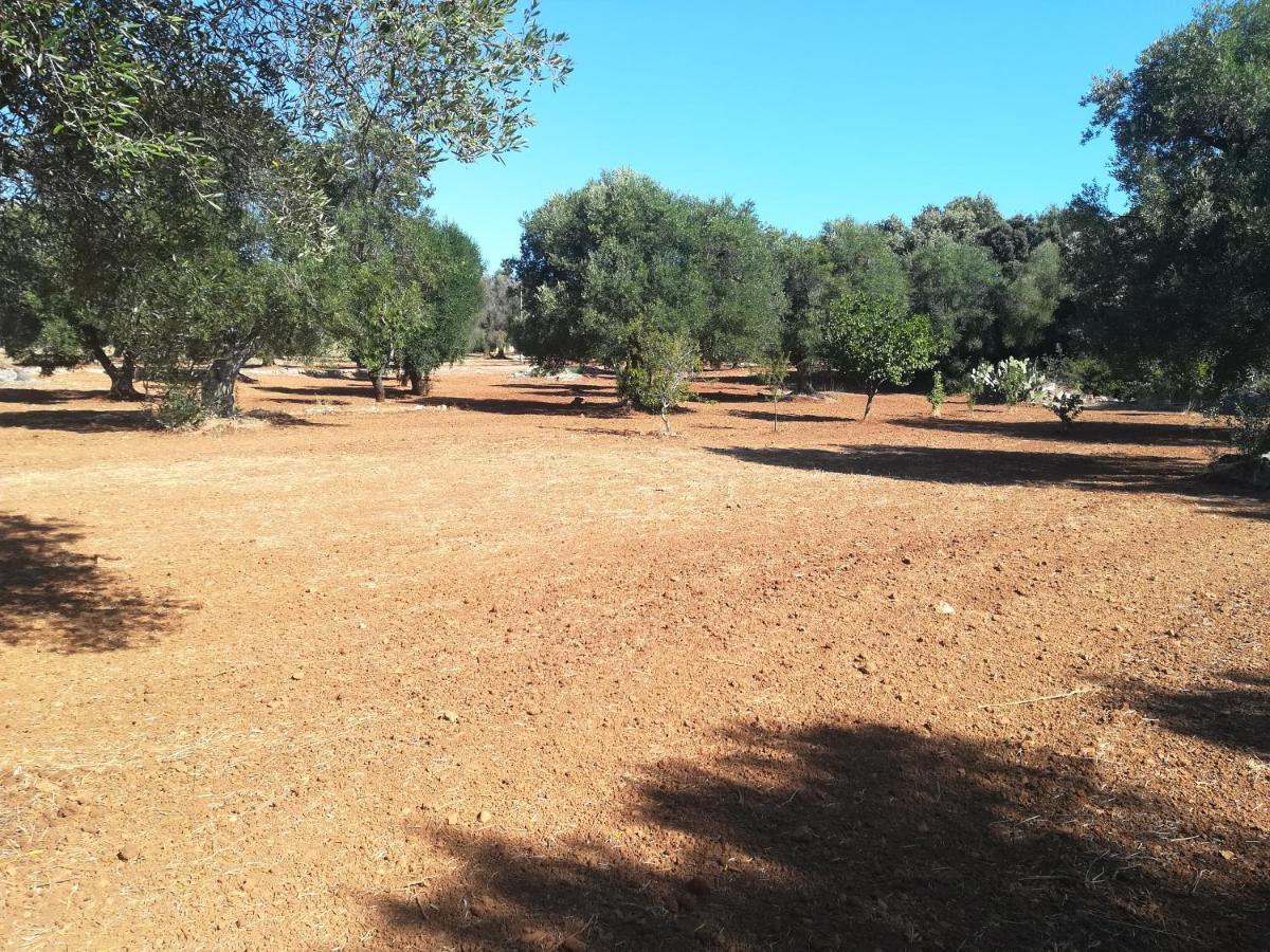 Trullo Alessandro E Villa Raffaela 산비토데이노르만니 외부 사진