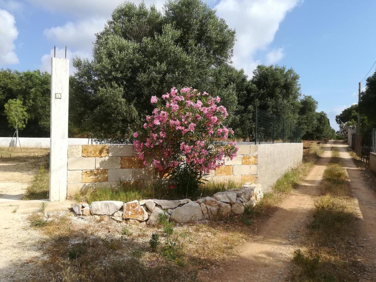 Trullo Alessandro E Villa Raffaela 산비토데이노르만니 외부 사진