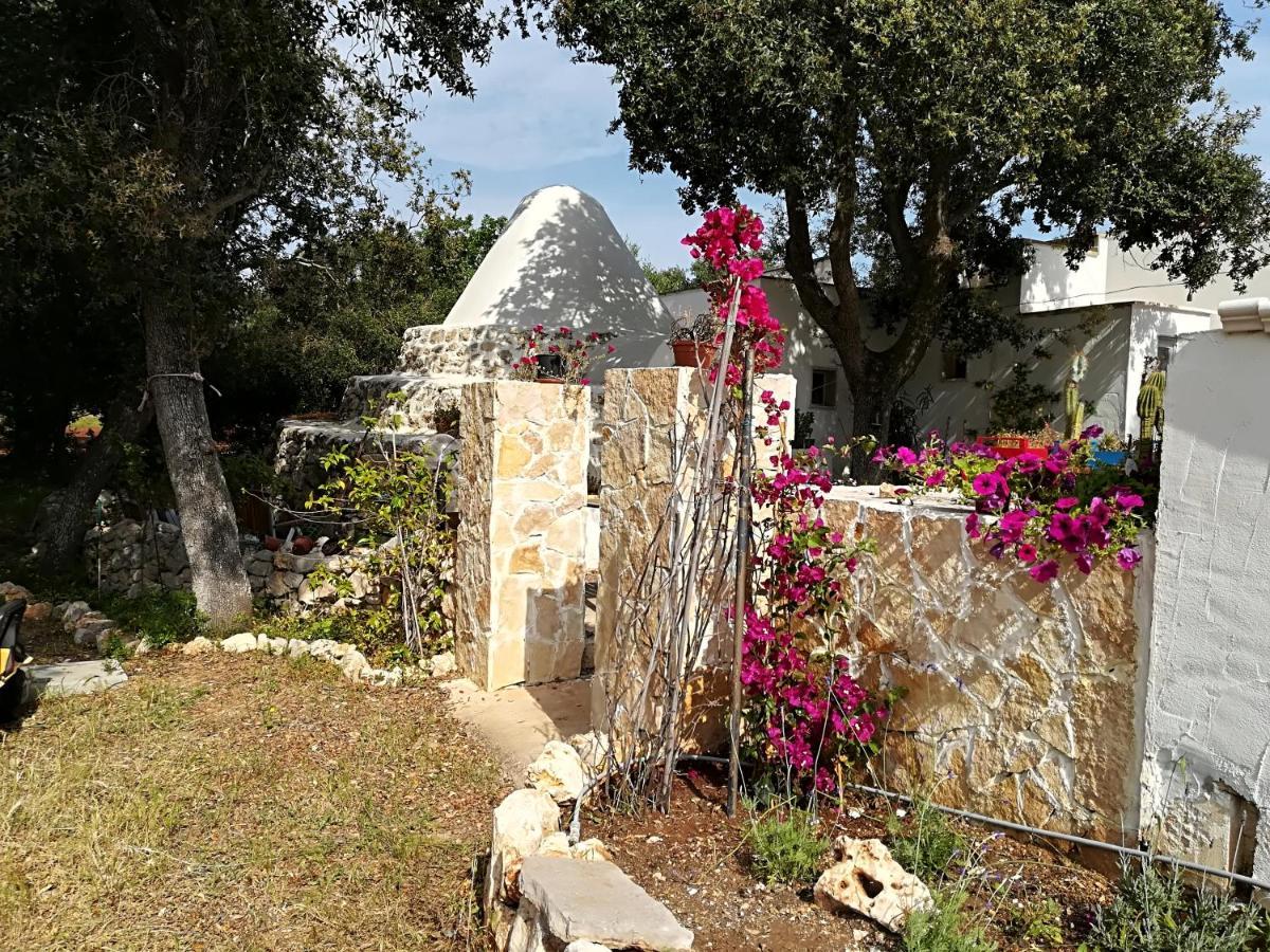 Trullo Alessandro E Villa Raffaela 산비토데이노르만니 외부 사진
