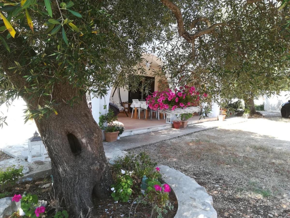 Trullo Alessandro E Villa Raffaela 산비토데이노르만니 외부 사진