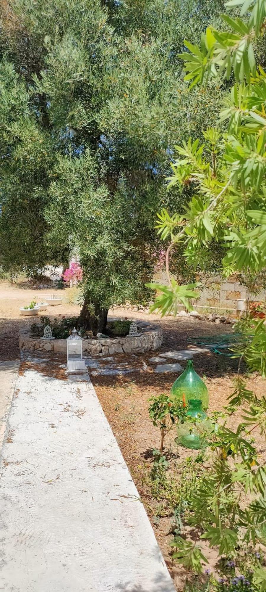 Trullo Alessandro E Villa Raffaela 산비토데이노르만니 객실 사진