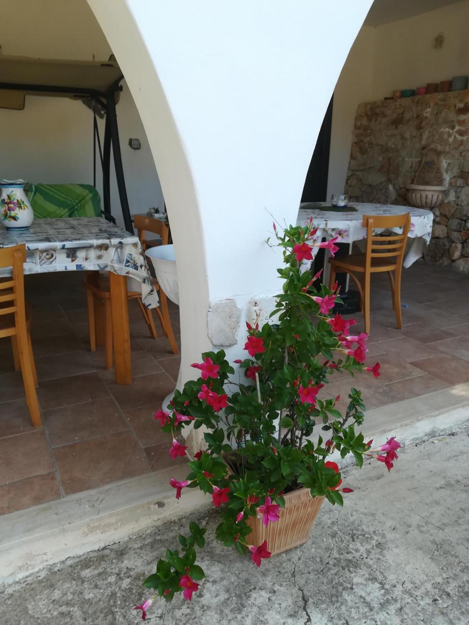 Trullo Alessandro E Villa Raffaela 산비토데이노르만니 객실 사진
